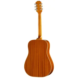 Epiphone Hummingbird Tribute Heritage CS